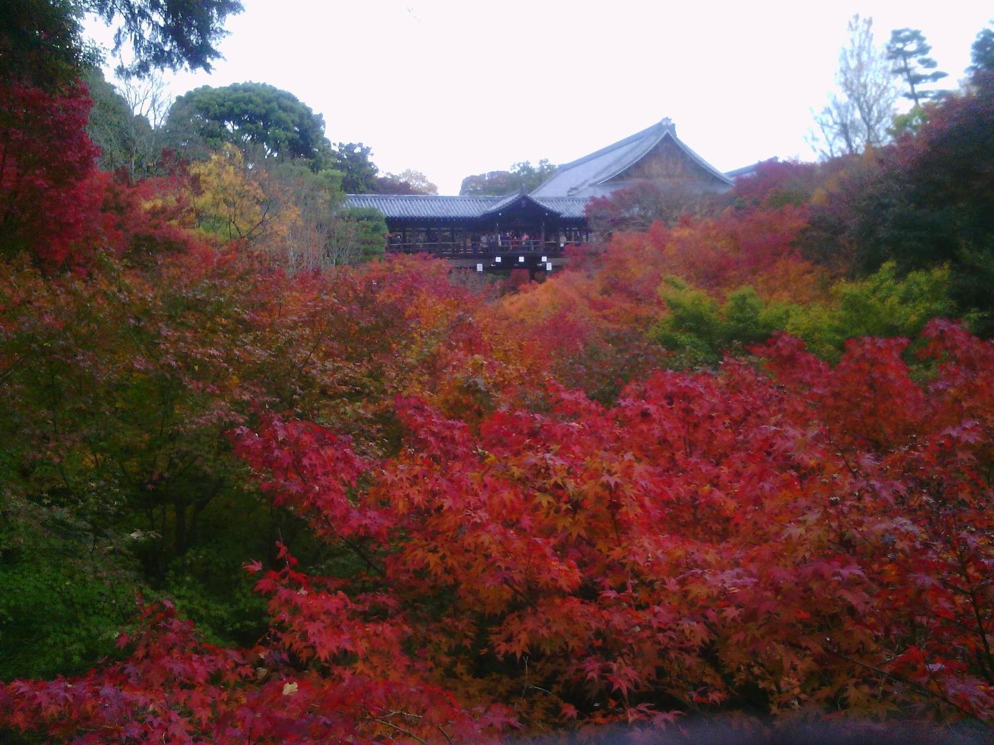 Kamuroan Kyoto Luaran gambar