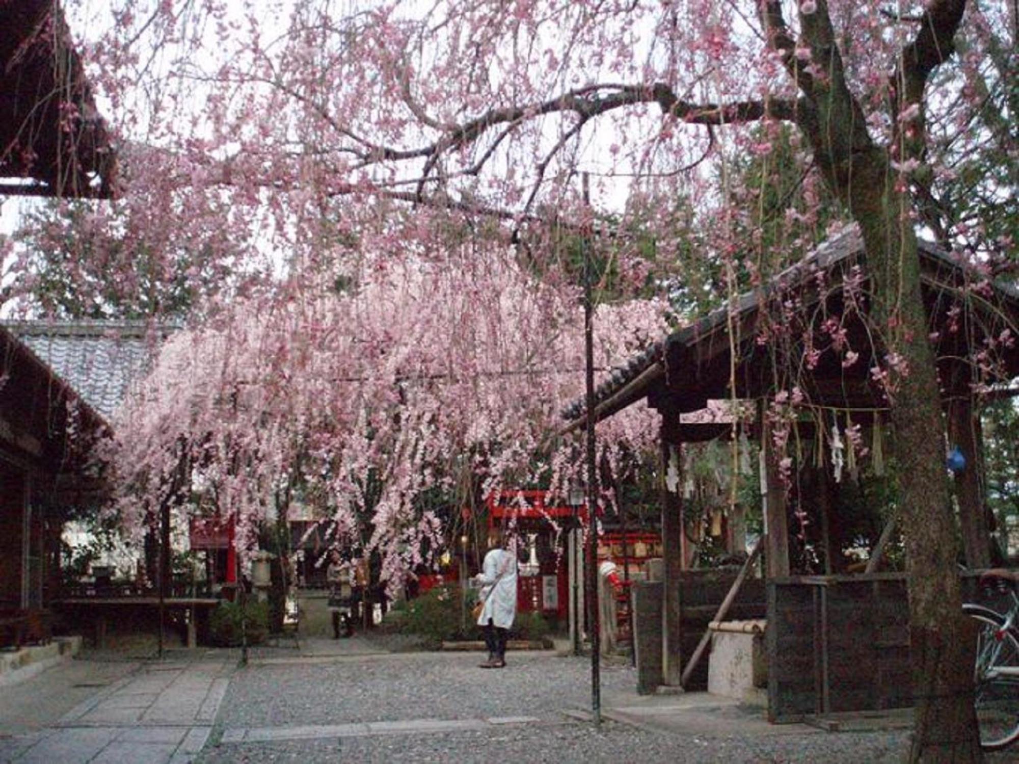 Kamuroan Kyoto Luaran gambar